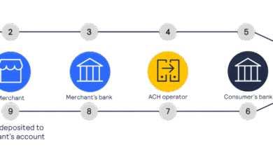 Authorize Net Transfer Money to Bank Account