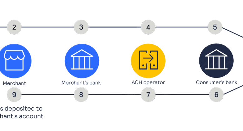 Authorize Net Transfer Money to Bank Account