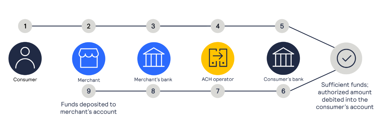 Authorize Net Transfer Money to Bank Account