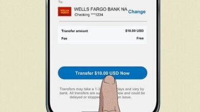 Can I Transfer My Paypal Money to My Bank Account