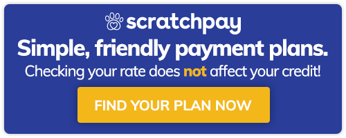 Do Emergency Vets Do Payment Plans