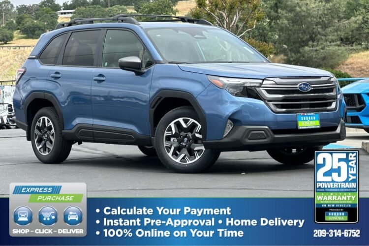 Does Blue Pearl Offer Payment Plans