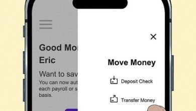 How to Transfer Money from Wisely to Bank Account