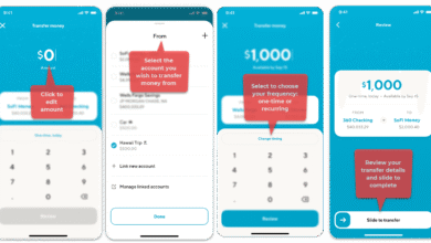 Transfer Money to Sofi Account