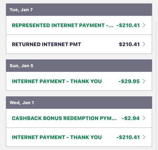 What is a Represented Internet Payment