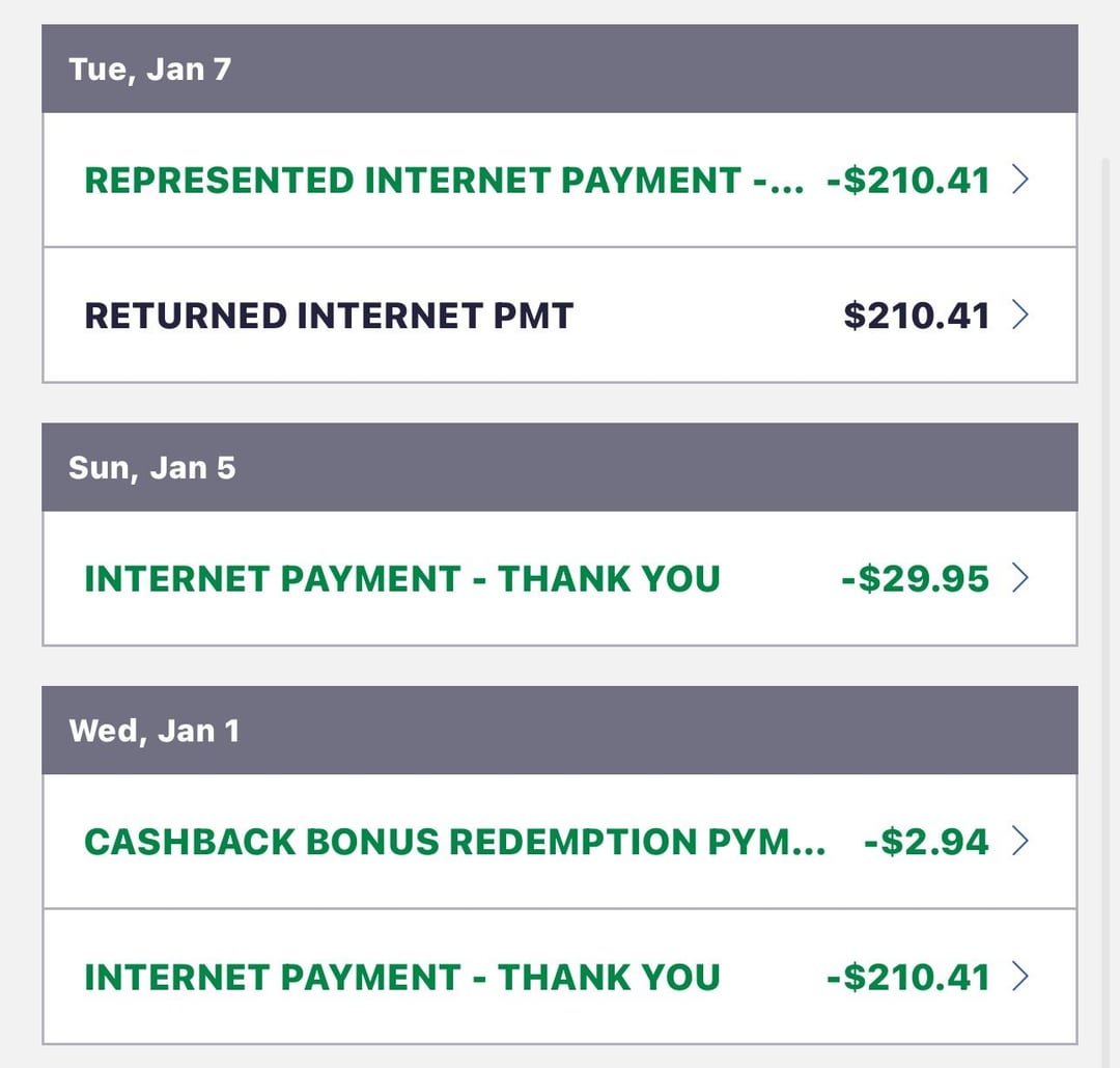 What is a Represented Internet Payment