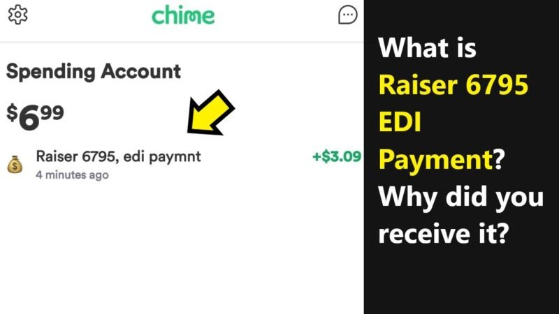 What is Raiser 6795 Edi Payment