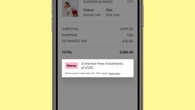 What is Stichting Custodian Worldpay Payment
