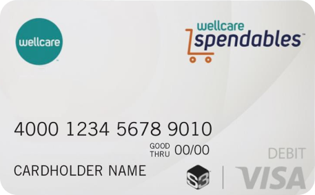Where Can I Use My Wellcare Visa Debit Card